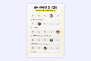 Outil collaboratif présentant l'humeur des individus